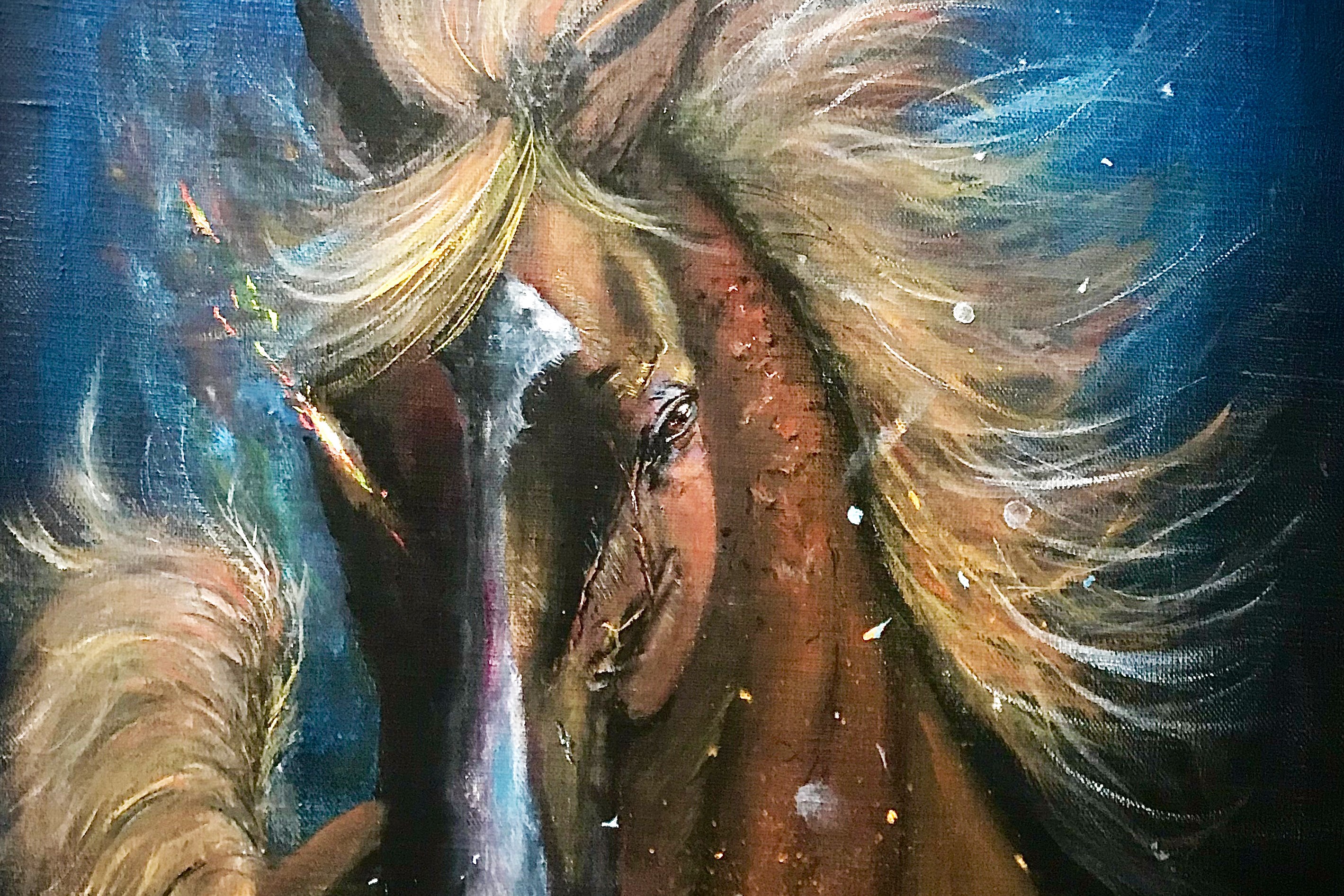 オルフェーヴル号肖像画