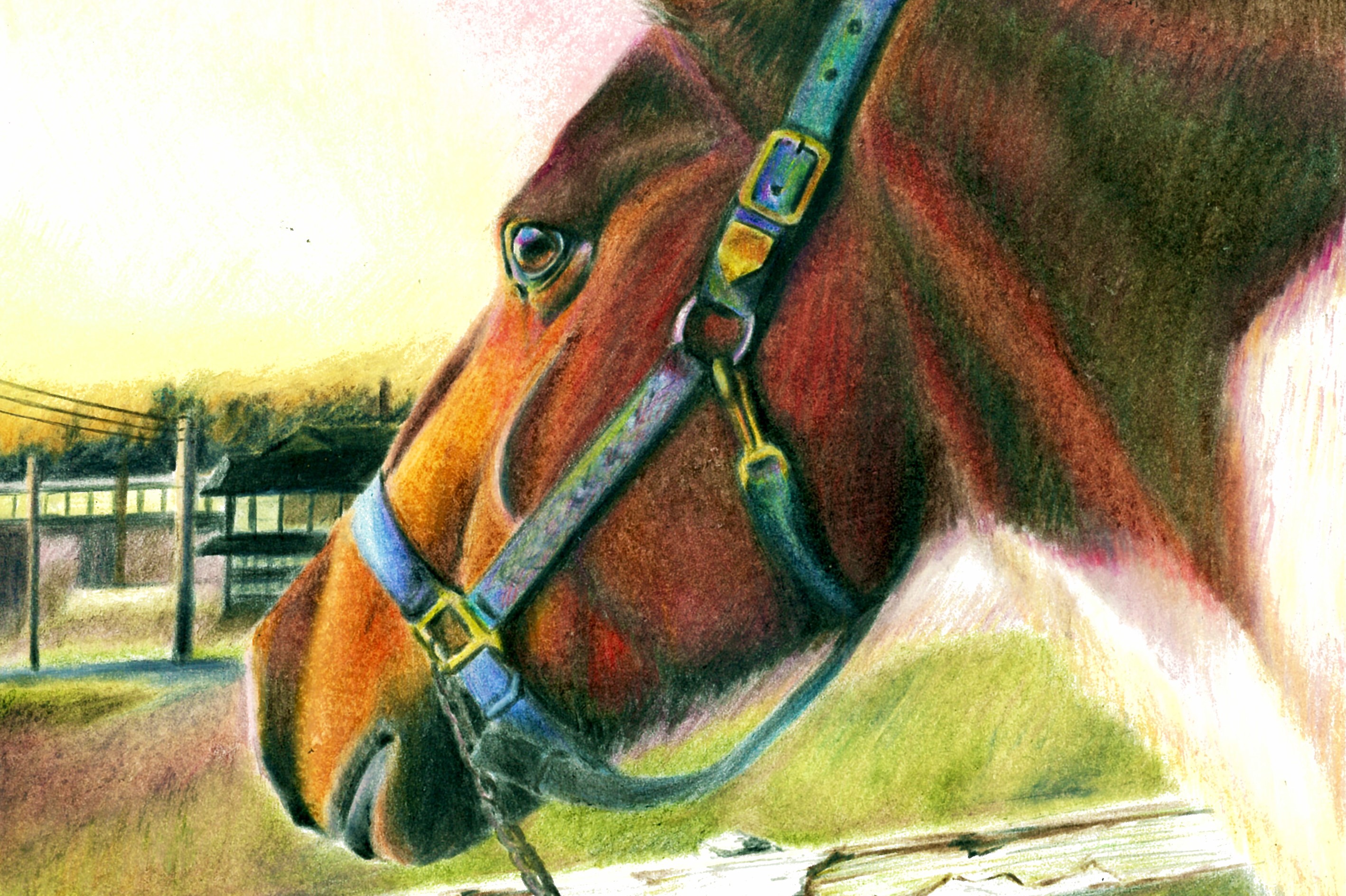 チビスケ号色鉛筆画