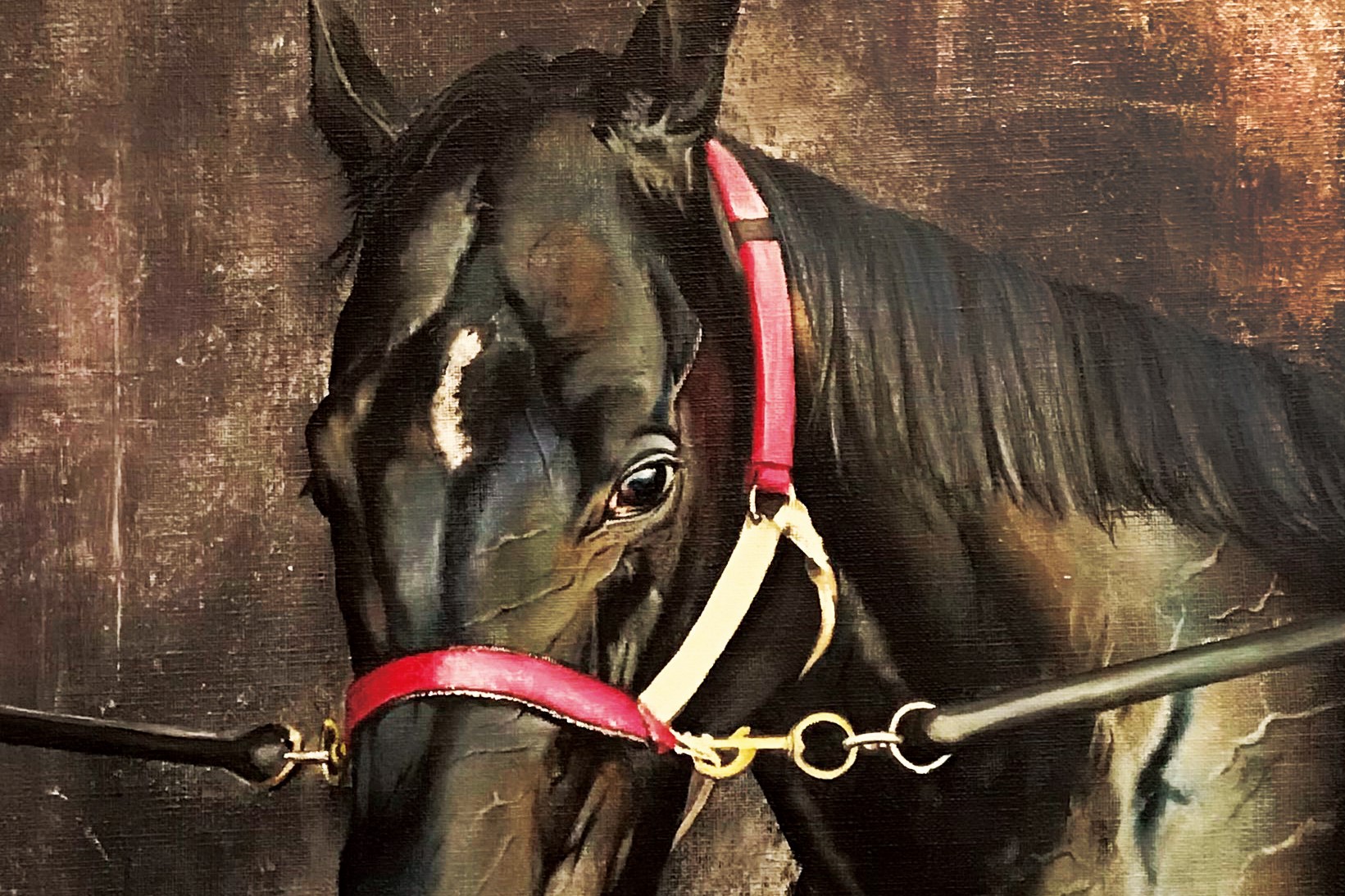 コントレイル号肖像画