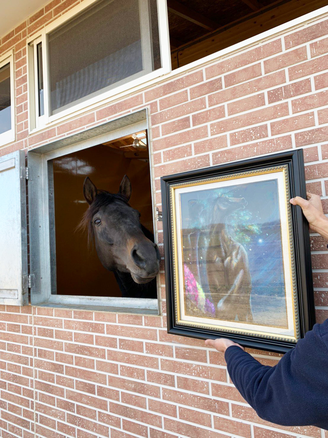 エタリオウ号肖像画写真