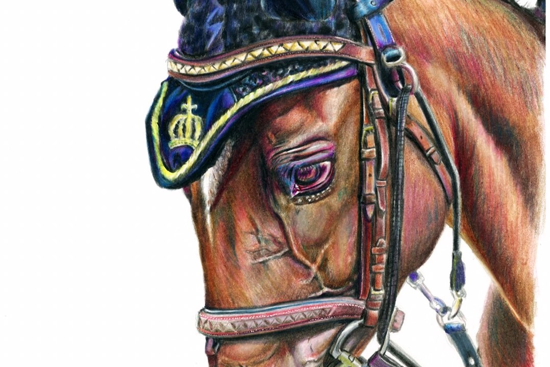 mountMitchell号肖像画