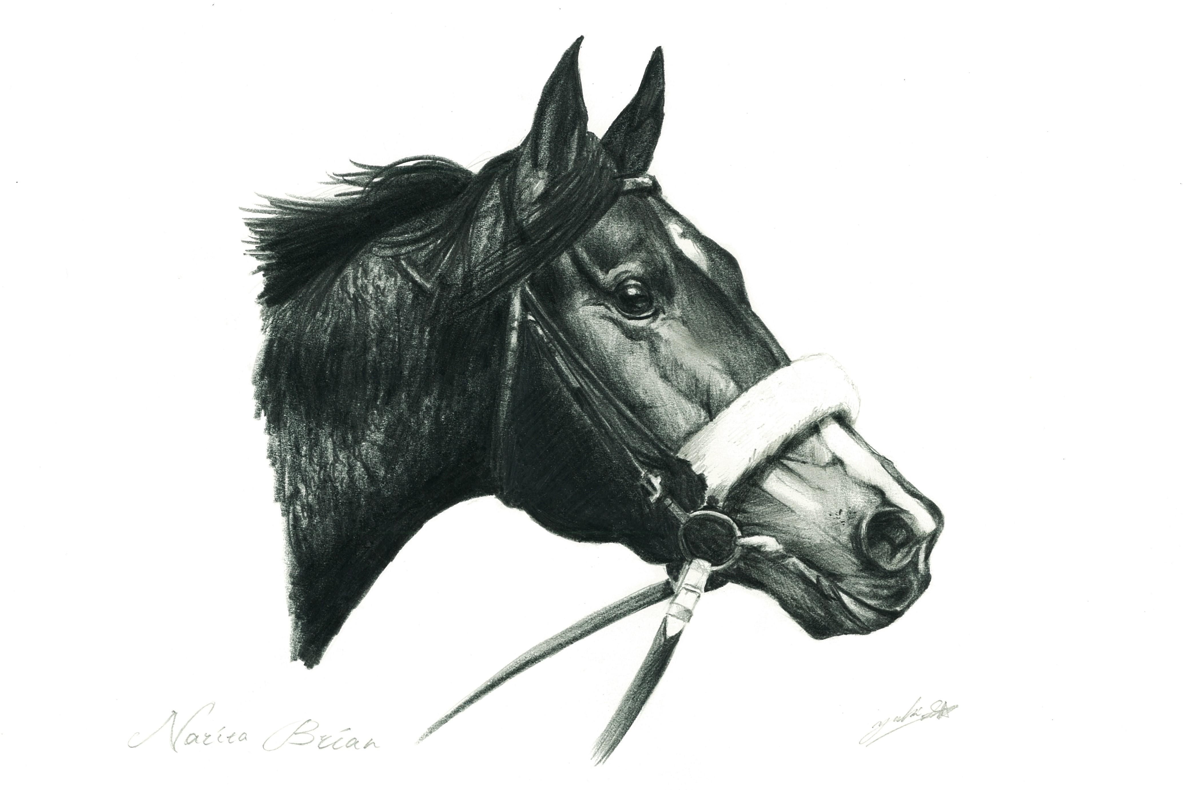 ナリタブライアン鉛筆画