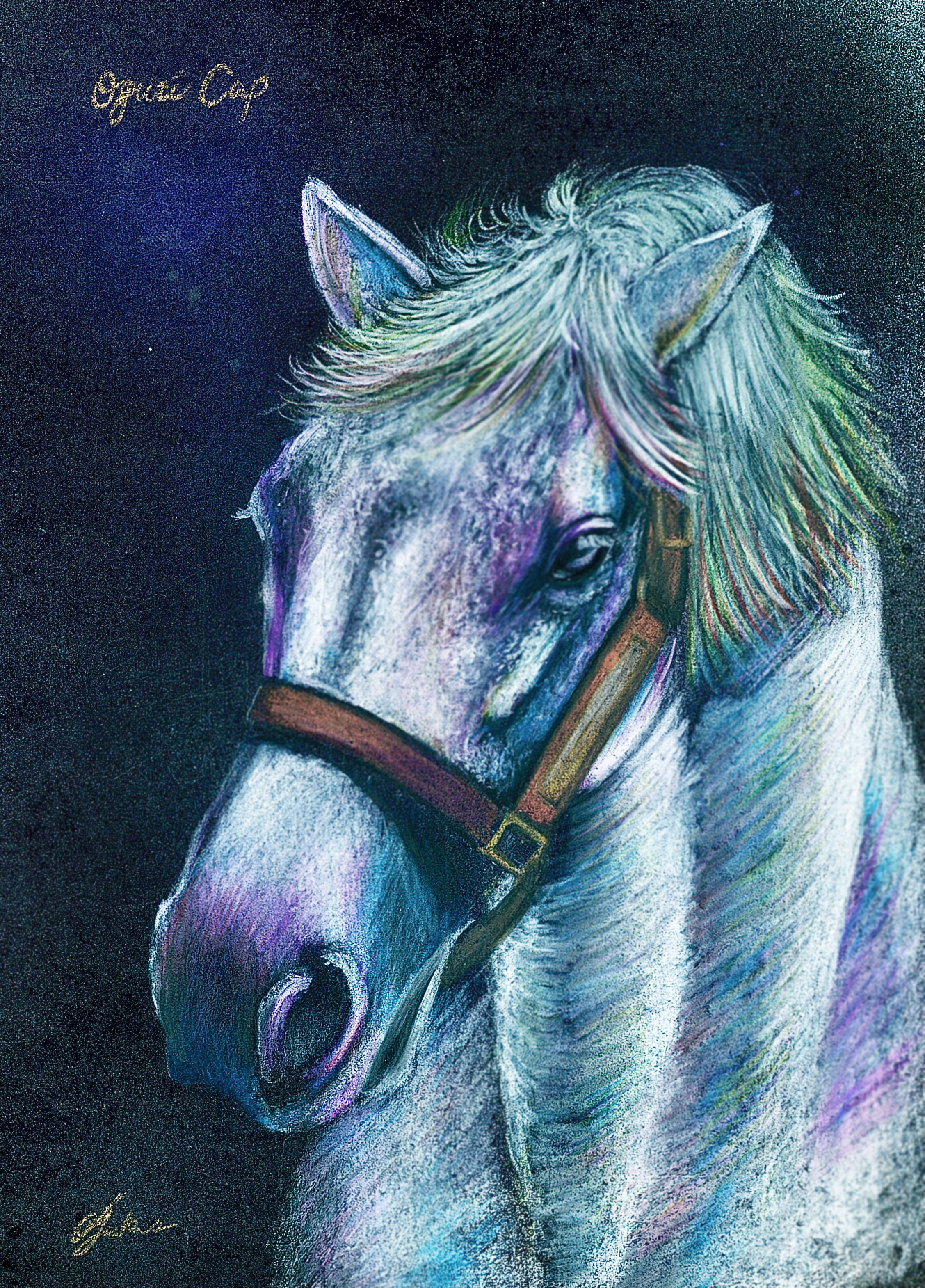 オグリキャップ号肖像画