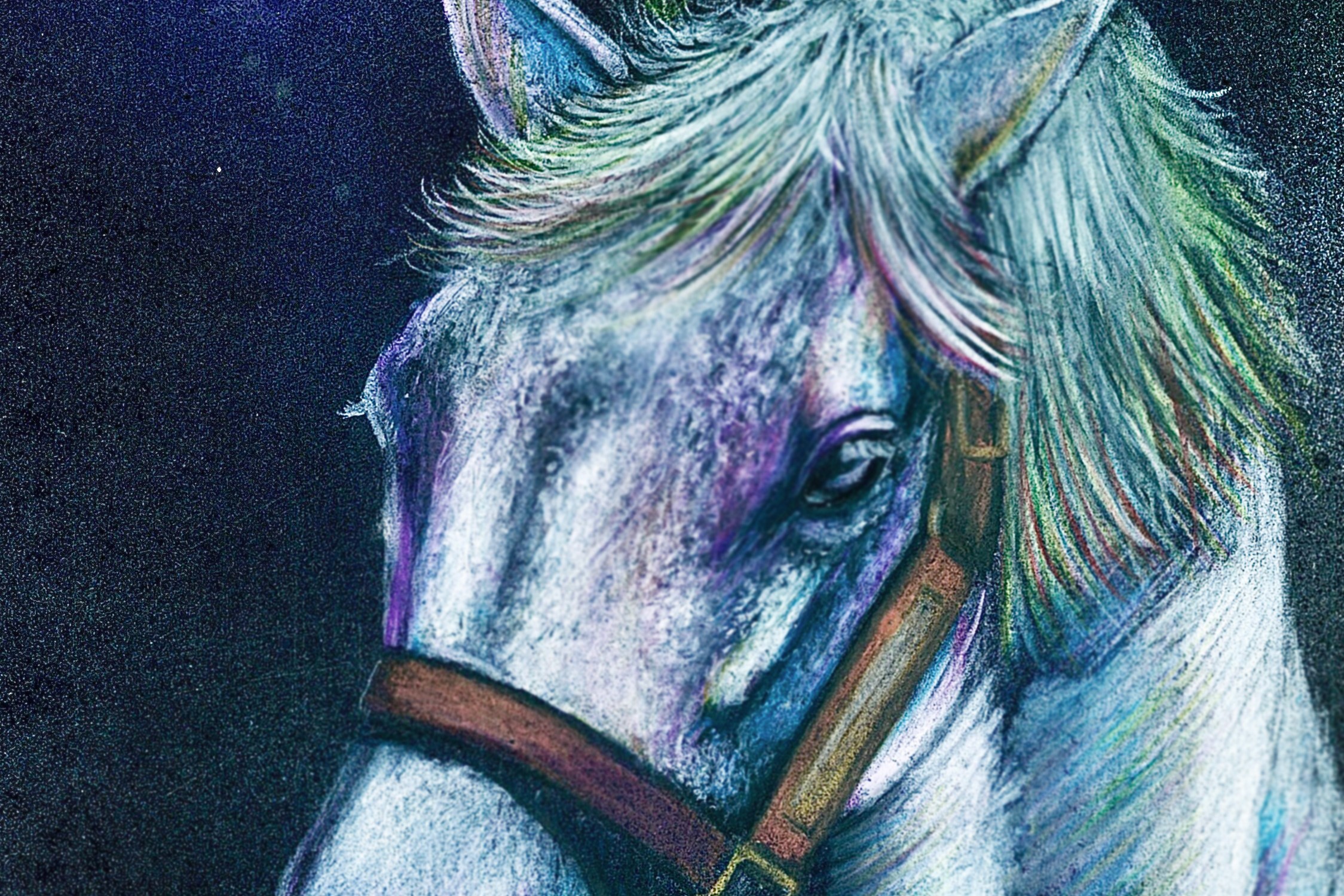 オグリキャップ号色鉛筆画