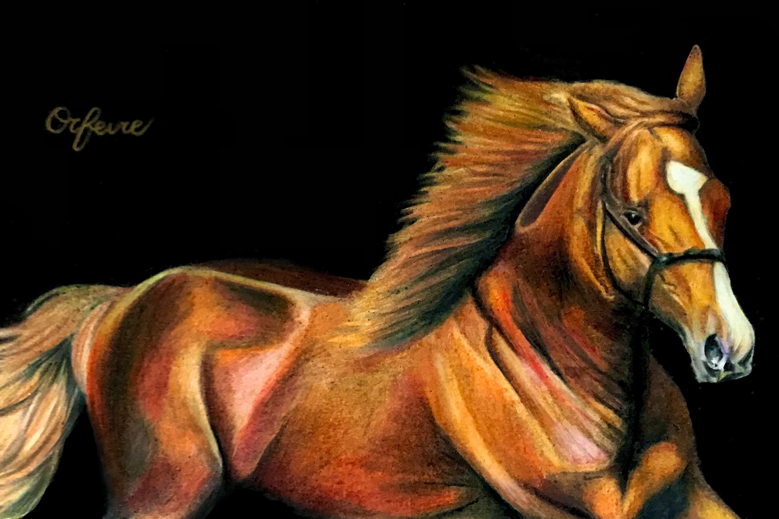 オルフェーヴル号色鉛筆画