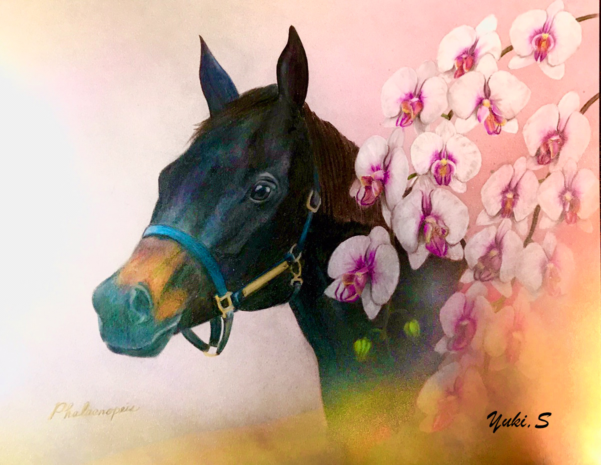 ファレノプシス号肖像画