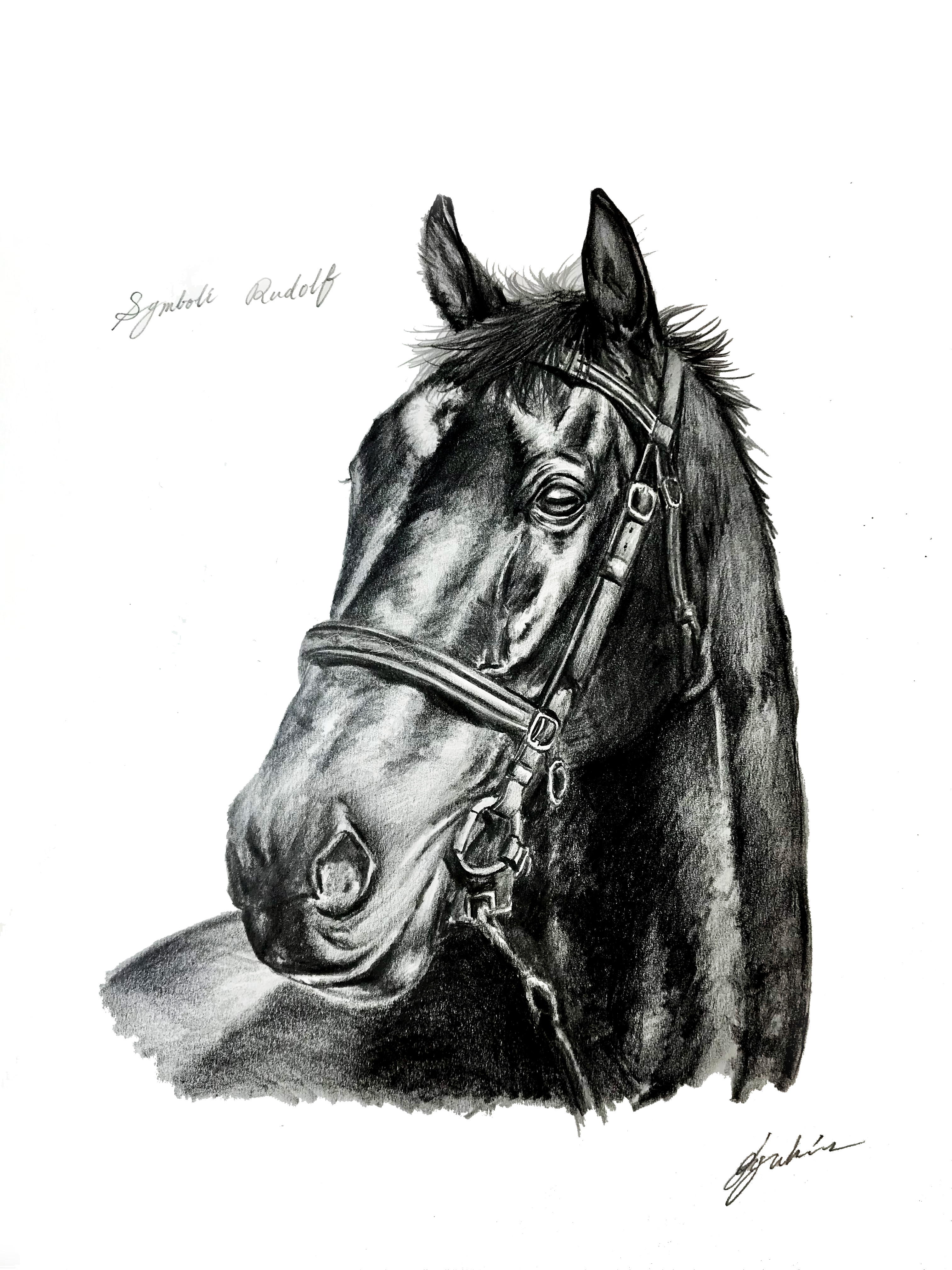 シンボリルドルフ号肖像画