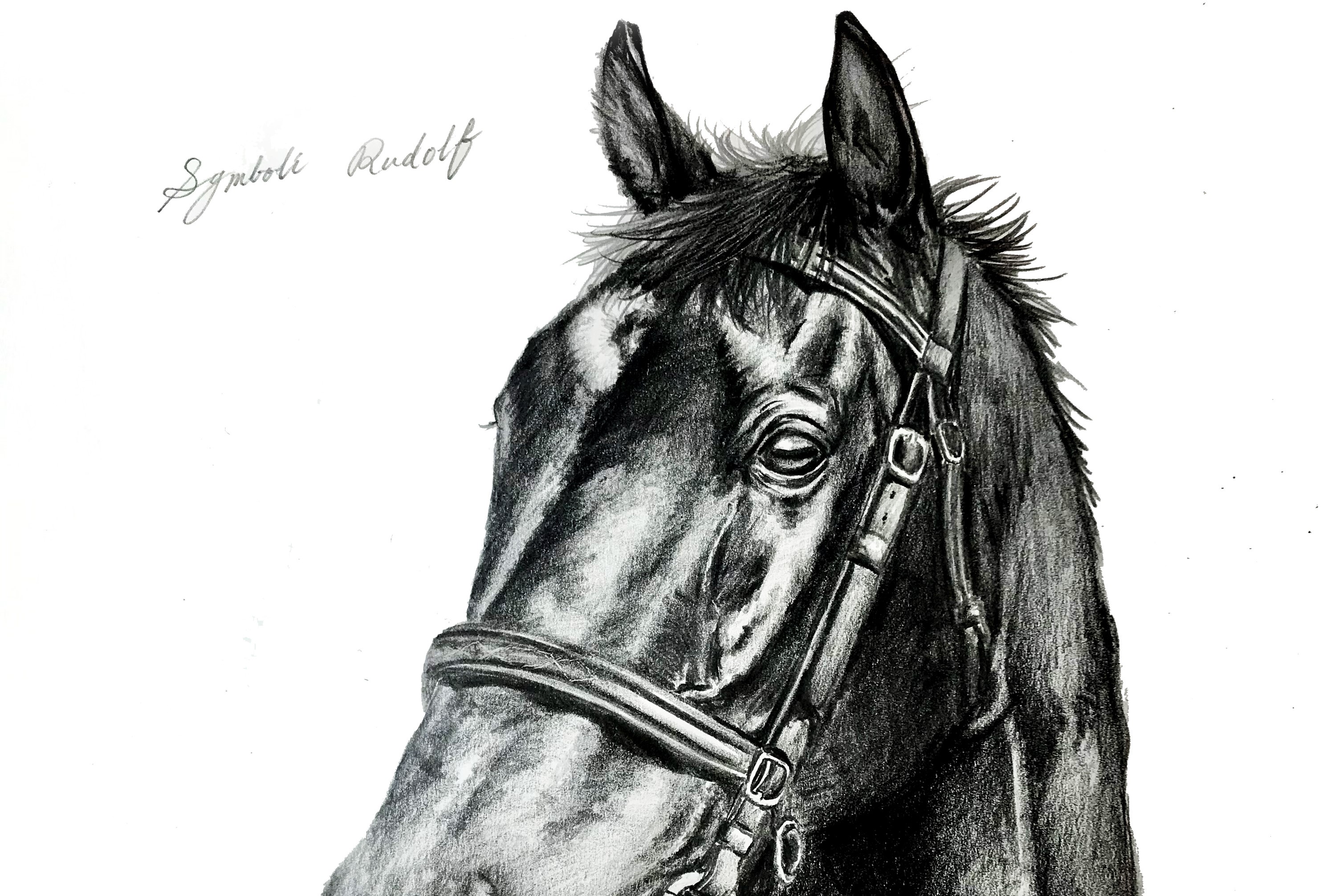 シンボリルドルフ号肖像画