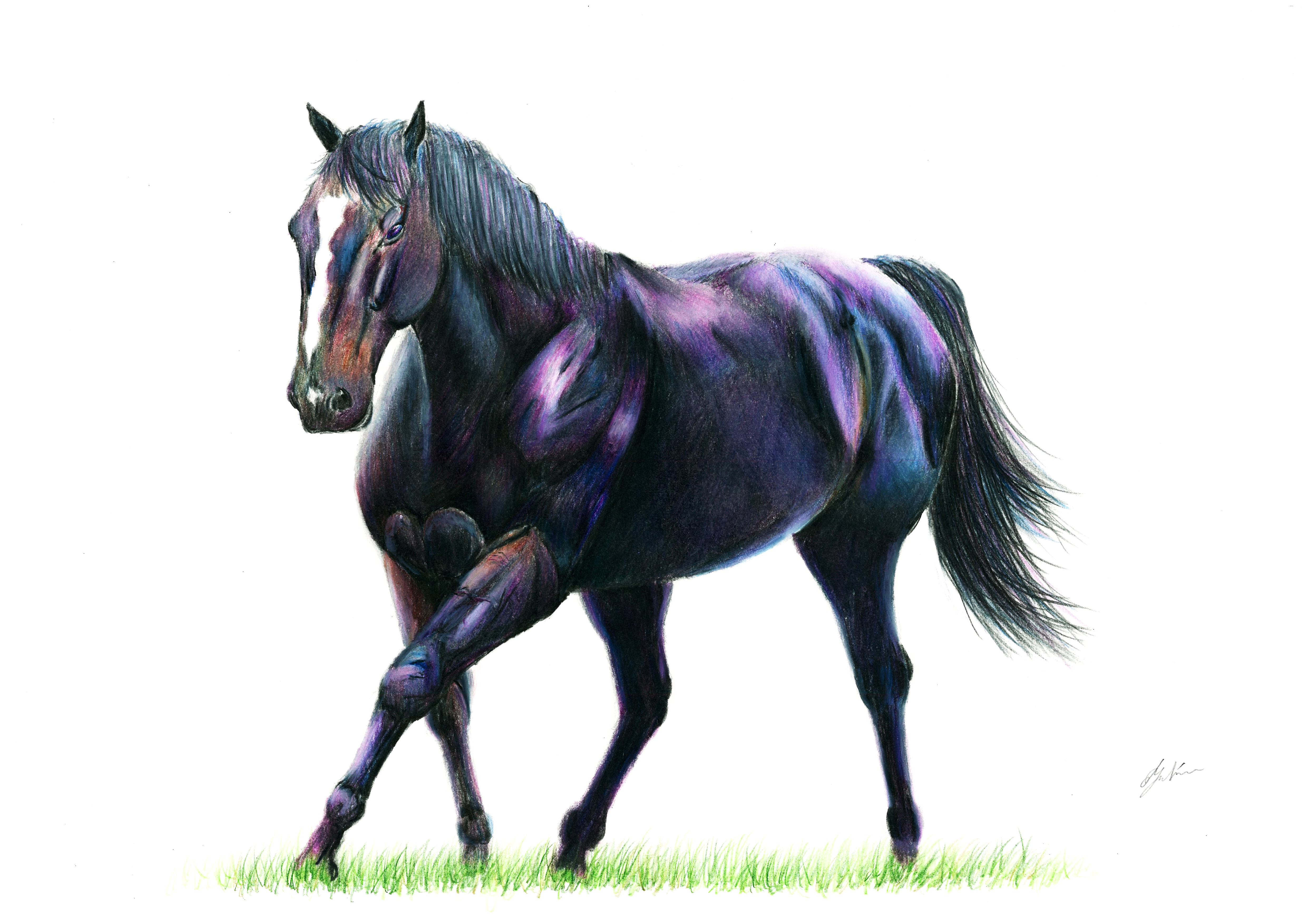 スペシャルウィーク号肖像画